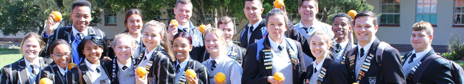 Lemoene Gr. 12